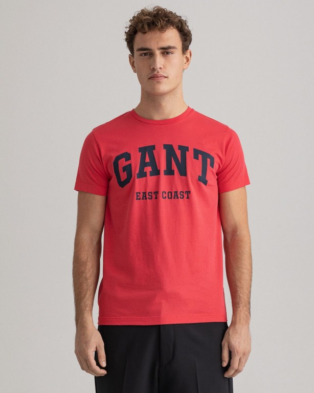 Sombra Microordenador Palmadita Camiseta Gant Colombia - Logo Hombre Rosas